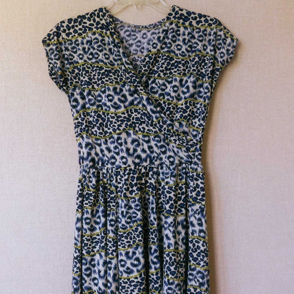 Leopard Print Swing Dress